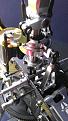 Click image for larger version

Name:	599191_399225323448356_896388014_n.jpg
Views:	102
Size:	84.9 KB
ID:	1870515