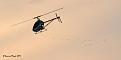 Click image for larger version

Name:	DSC_0310.jpg
Views:	85
Size:	137.3 KB
ID:	1903070